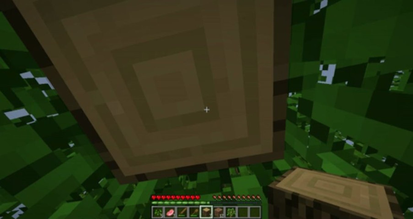 Tuto comment bien debuter sur minecraft parti 6