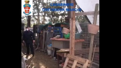 Macerata - Scoperto casolare 'lager' a Montelupone (09.04.13)