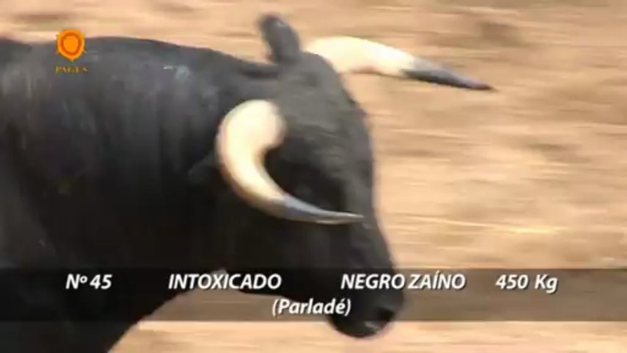 SORTEO NOVILLOS FERIA DE ABRIL 10 ABRIL