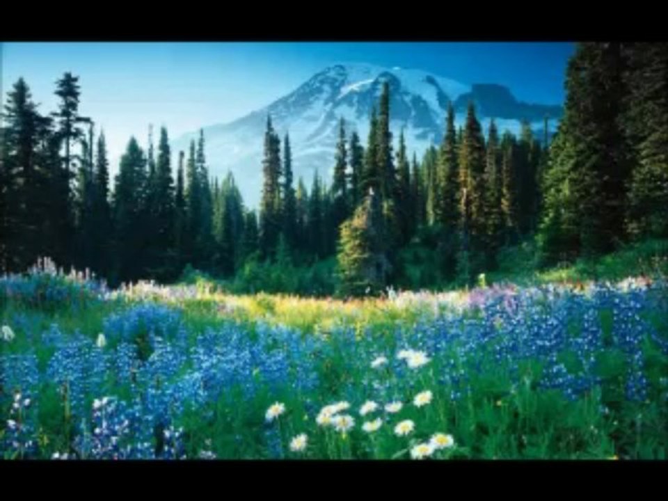 Atay - Leyla İla Mecnun Dizisi  --  Leyla The Band