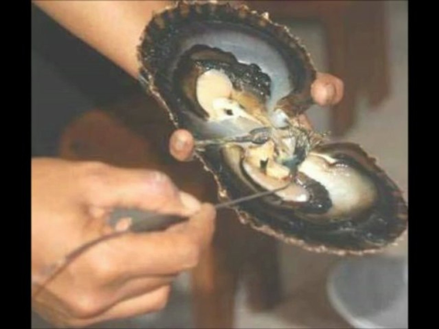 UAE Pearl Documentary