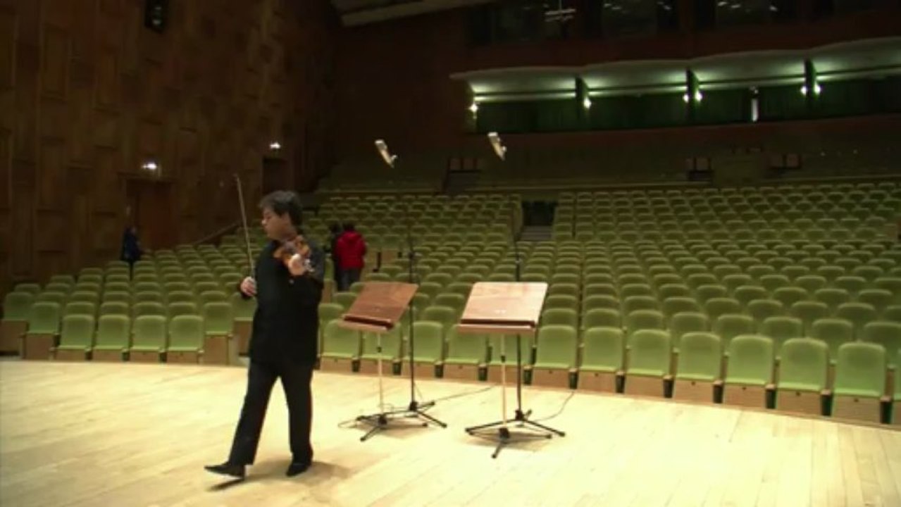 Romanian violinists gear up for Bucharest festival