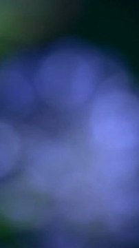 Ortamsesli Ortamsesli.com Ortamsesli.net ortamsesli ortam sesli Ortamsesli