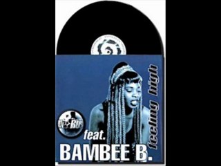 Dr. Rob Feat. Bambee B - Feeling High (DJ P Mix)