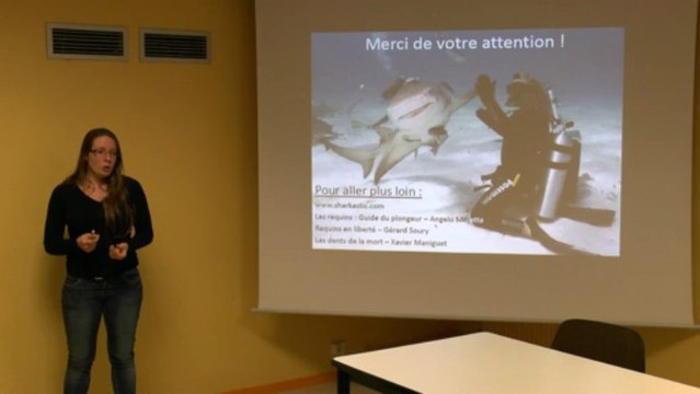 Requins mythes ou réalité partie 3
