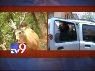 Janani Infra employee produced before court in deer hunting case