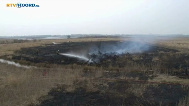 Stuk natuur afgebrand bij Meerstad - RTV Noord