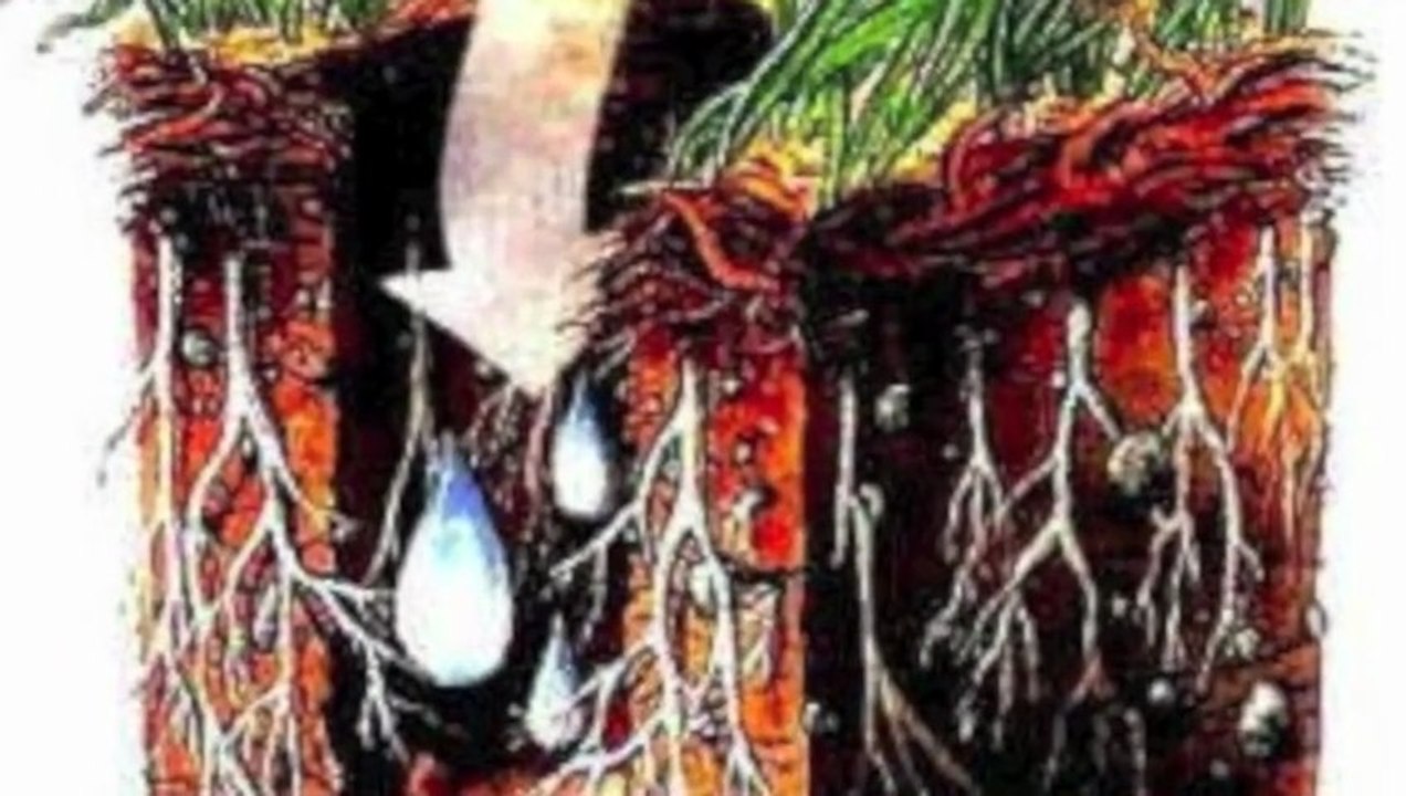 Lawn Aeration Widefield CO-Core-Colorado -Sprinkler-Repair-Blowout-Winterization-Lawncare-lawn-mowing-Springs-CO-719-963-6267-12