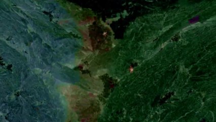 TEST ONLY comp evol first equilibrium 4