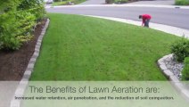Lawn Aeration Briargate CO-Core-Colorado -Sprinkler-Repair-Blowout-Winterization-Lawncare-lawn-mowing-Springs-CO-719-963-6267-12