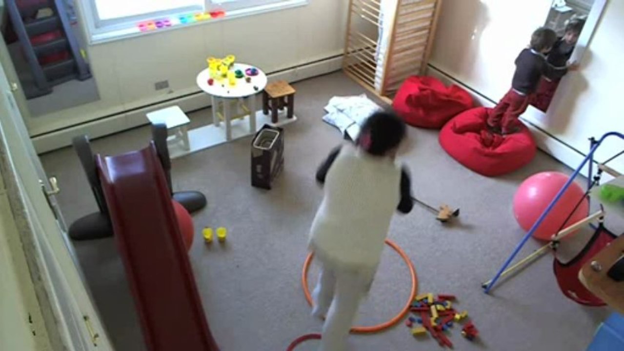 Video 66