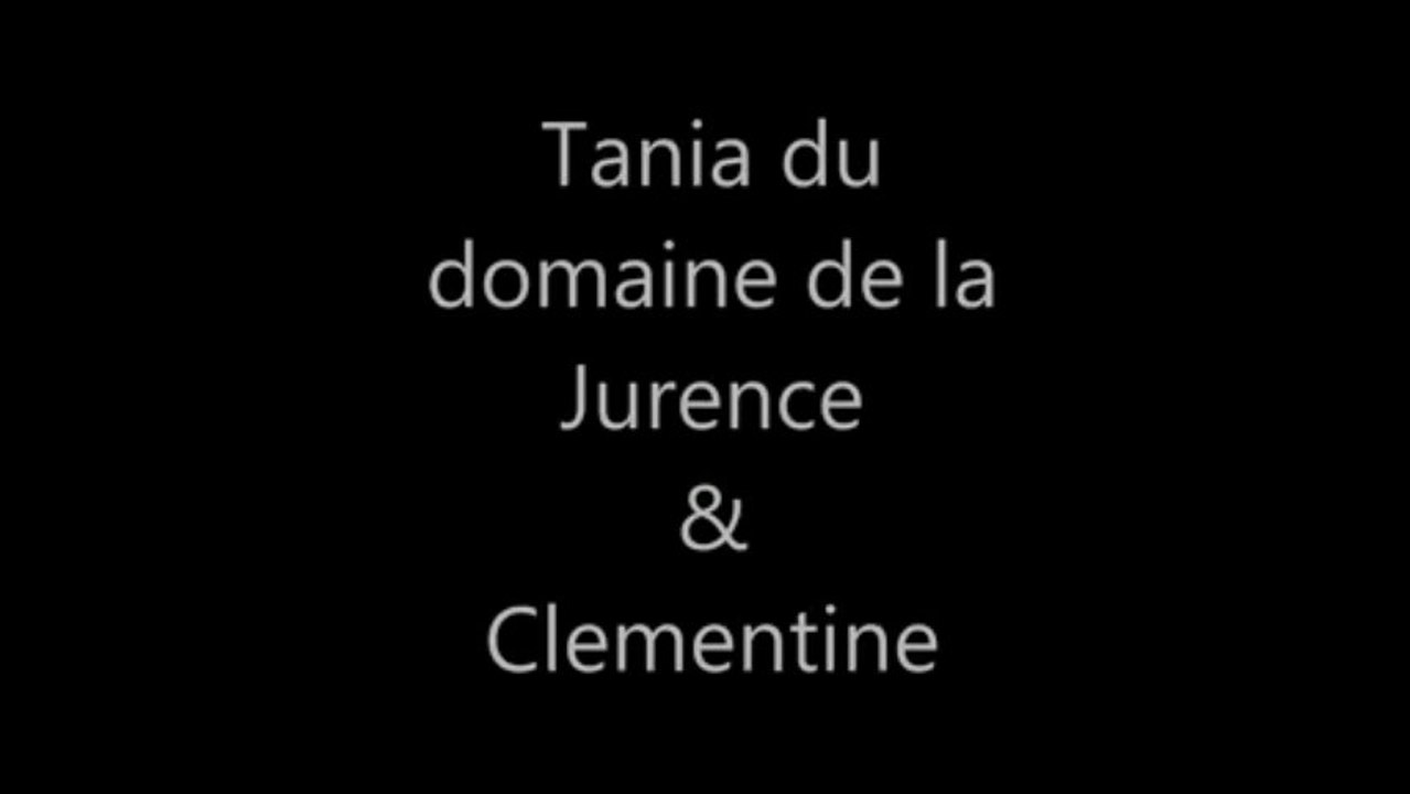 Tania  vs Clémentine