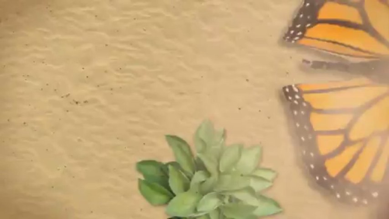 Concord Kia and the 2012 Kia Optima Hybrid near Pleasant Hill