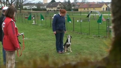 h'yoshe entrainement brevet
