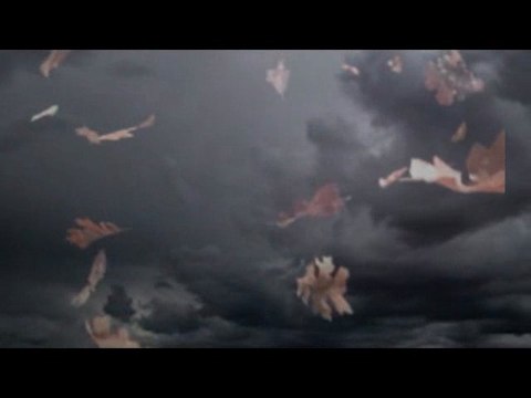 kürt türk kardeşliği ( 2DİL)