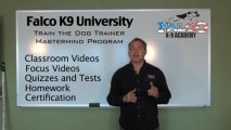 Train the Dog Trainer Mastermind Program - Falco K9