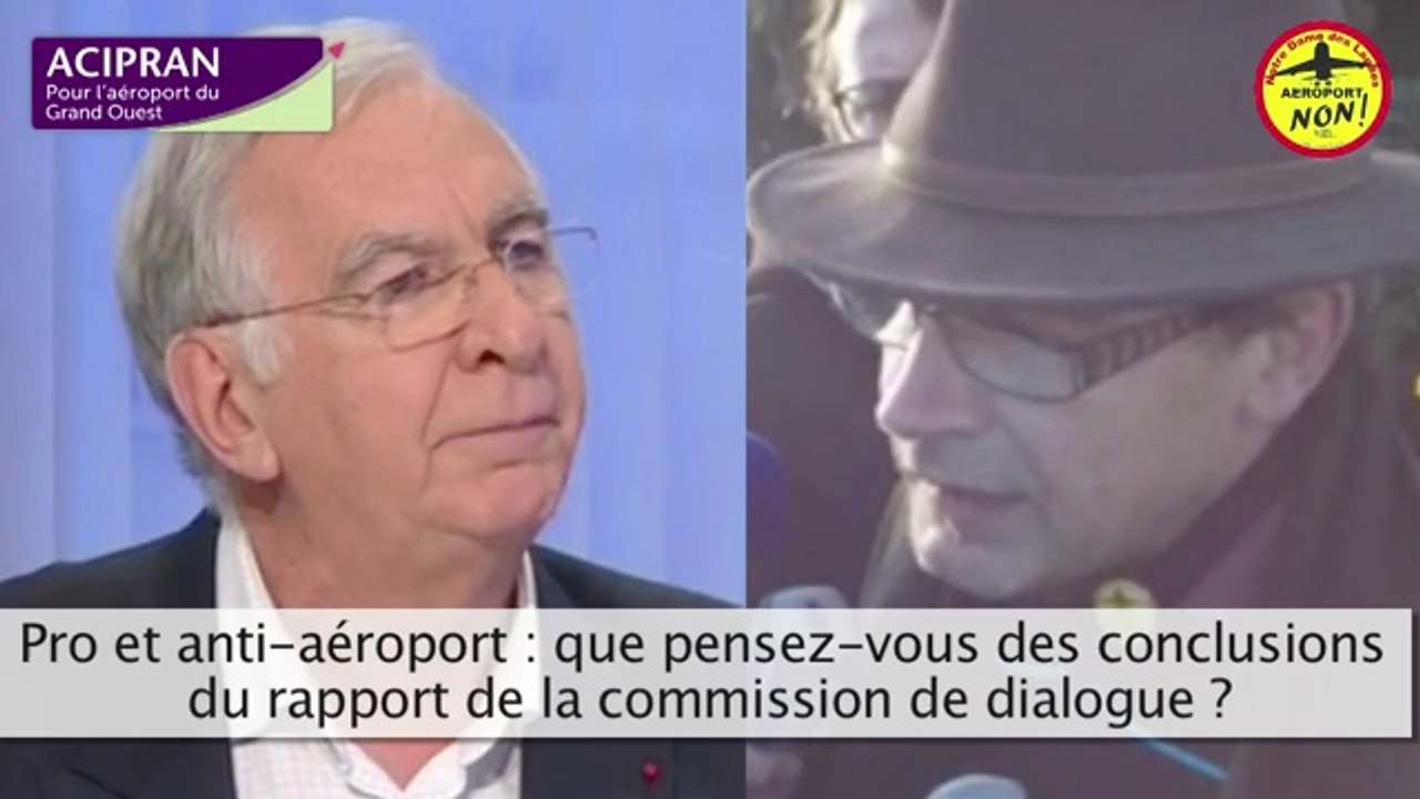 Notre-Dame-des-Landes : aéroport "nécessaire" mais retardé, les pro et les anti réagissent