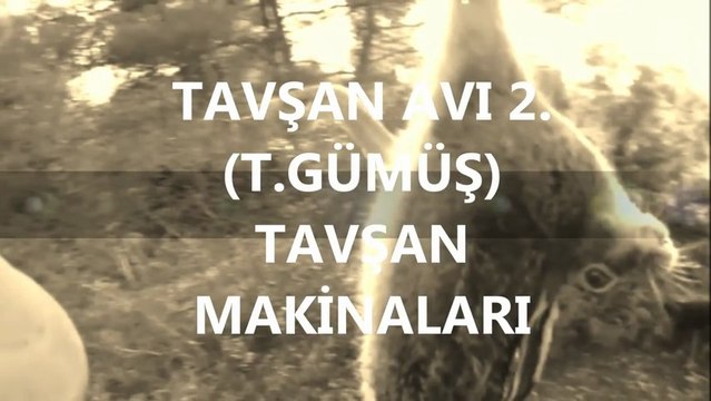 TAVŞAN AVI 2 (T.GÜMÜŞ) TAVŞAN MAKİNALARI