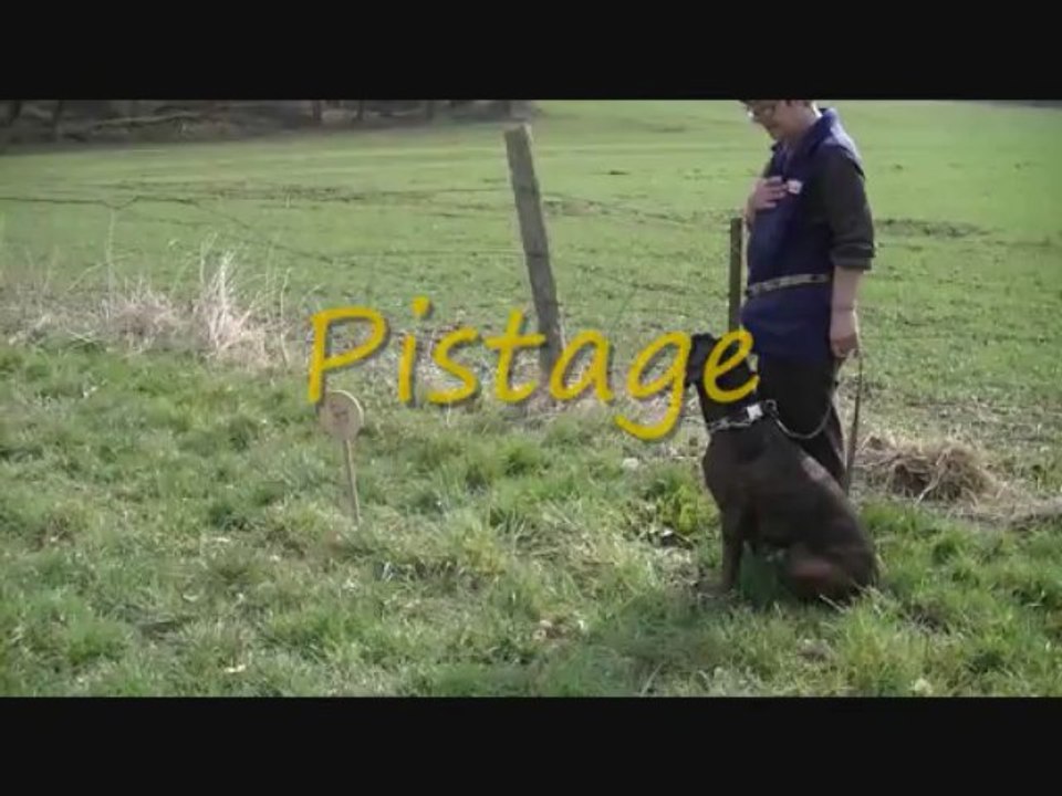 GLAMOUR-Miss Entrainement OB & Pistage RCI