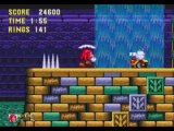 Sonic The Hedgehog 3 & Knuckles (Knuckles Mode) 2/14