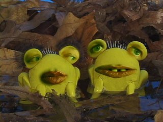 Les grenouilles (Tetesaclaques.tv)