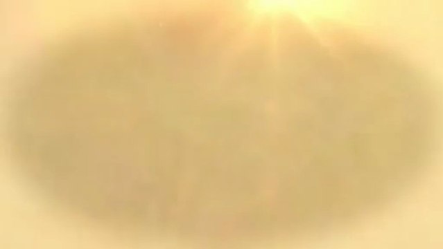 Eager Beaver Tree Service LLC - (804) 310-8974