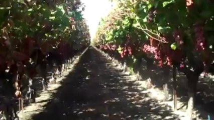 사설토토 ❤卐➳ ✯♛ ☛ GGO233.COM ☚ ♛✯➳ 卐❤ 플레이텍바카라