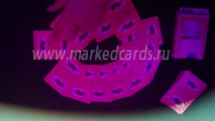 Bee(With Picture)2-MARKED-PLAYING-DECKS-Modiano-cards