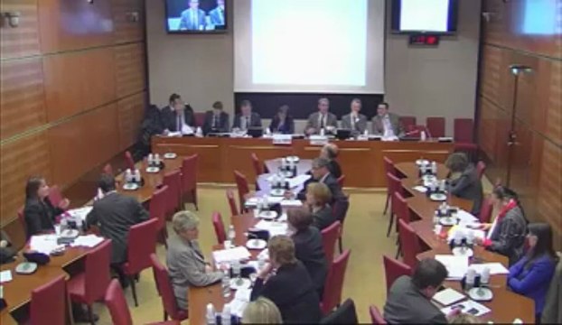 COMMISSION DES AFFAIRES CULTURELLES DU 27 MARS Ministre des sports Valérie FOURNEYRON