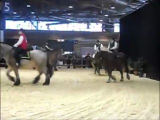 EquitaLyon Carrousels