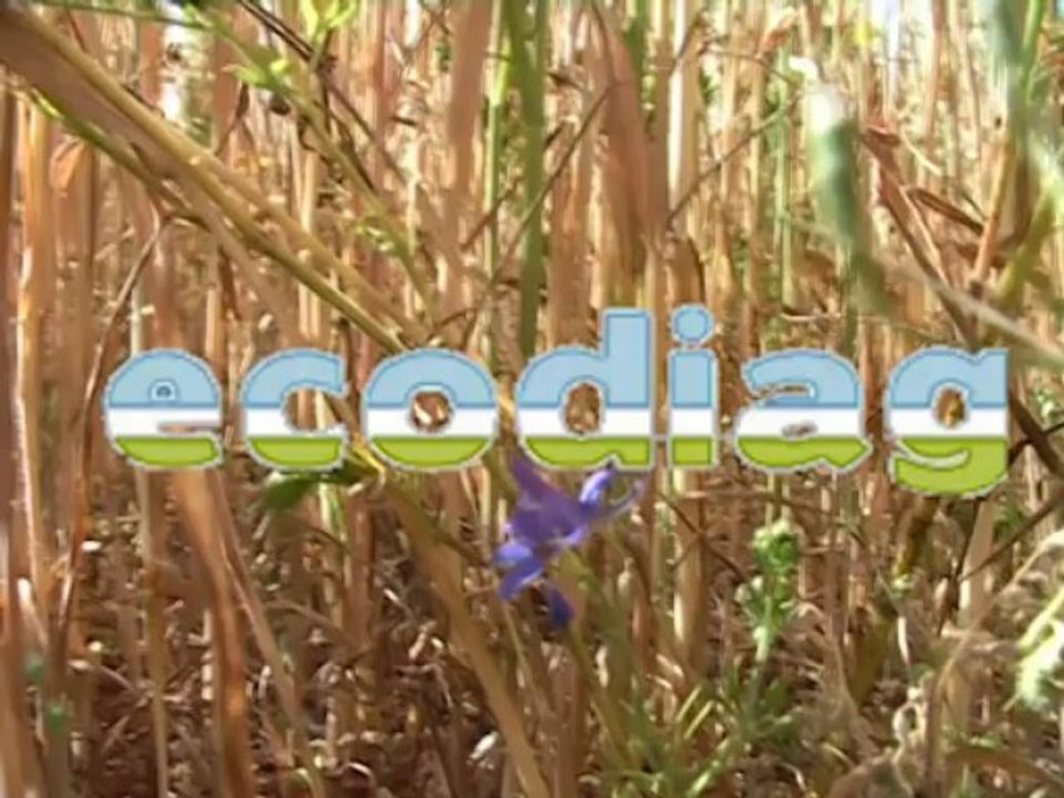 ECODIAG - Introduction ecodiag
