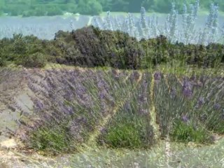 ARDECHE - Juillet 2007