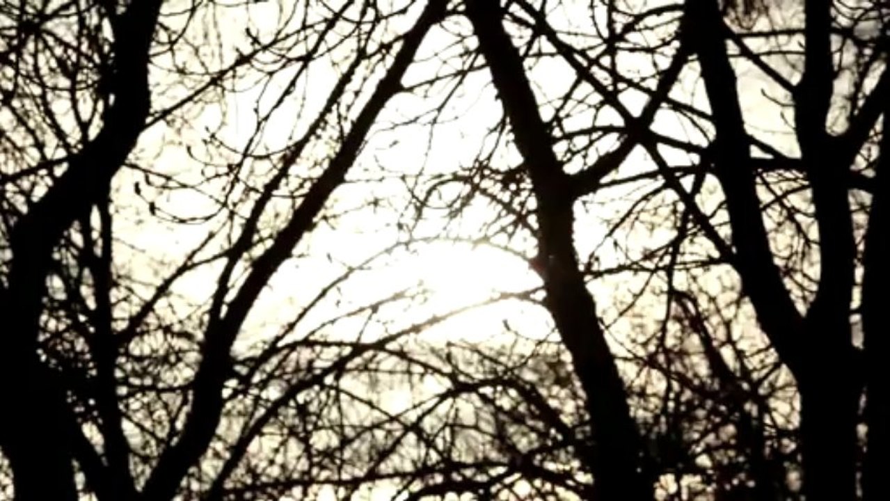 Carlos Siles - Si tu te vas, me voy contigo (teaser)