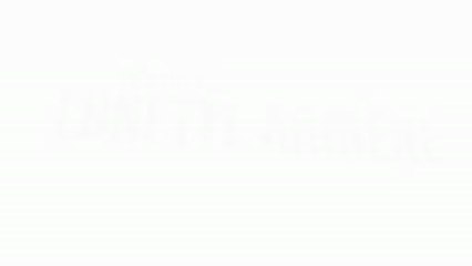 Nettoyage Lunette Arrière avant pose film solaire