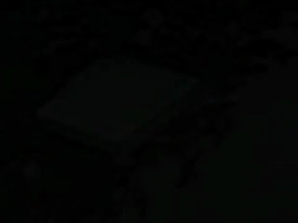 Tonic Concepts EZ Pass Holder