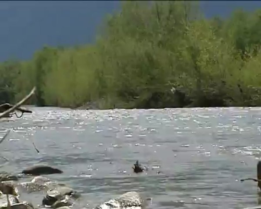 Μια βόλτα στο Πλατανοδάσος μέσα από τον φακό του Star