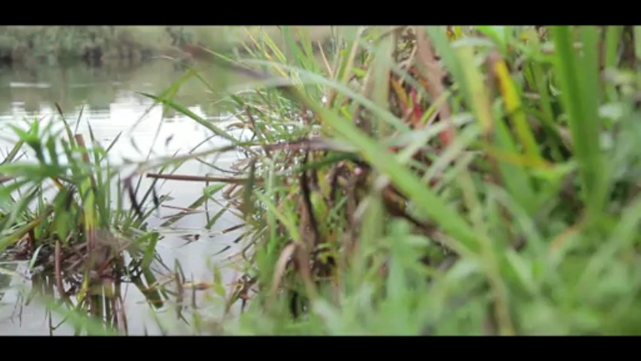 Ni barre ni raquette