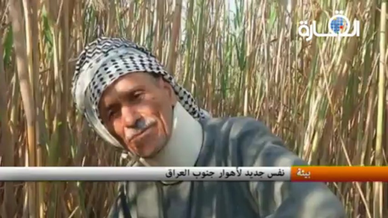 نفس جديد لأهوار جنوب العراق