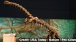 World's Oldest Dinosaur Embryos Discovered in China