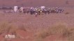 "Marathon des sables" : 224 kilomètres dans le désert du Maroc