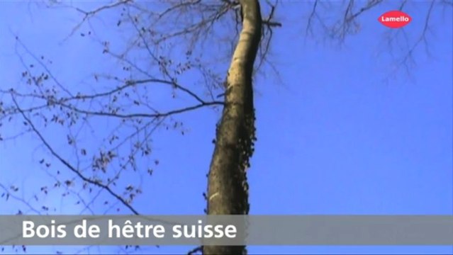 Lamelles en bois Lamello - HMDIFFUSION