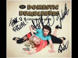 The DOMESTIC BUMBLEBEES - My Gal