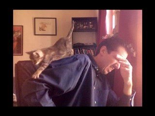 Le blog de Luciano : Trop mignon