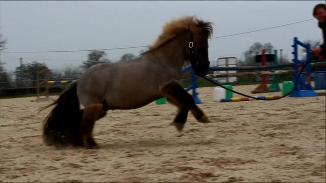 Lutin et Twister, Mars 2013