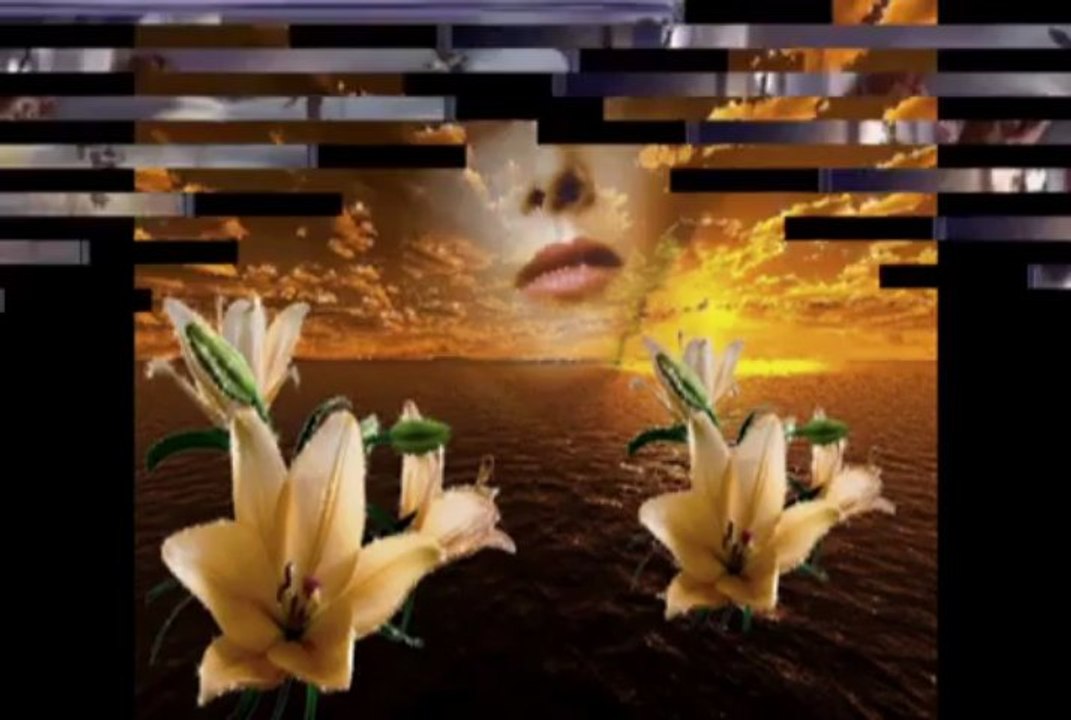 Jasna Zlokic-Ne vjeruj pjesmi u snu