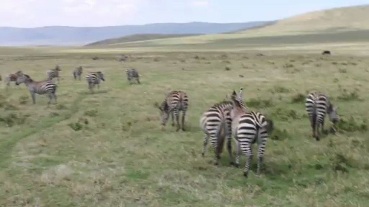 Safari en Tanzanie avec Meltour