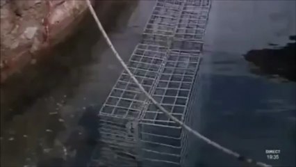 TV SUD Projet NAPPEX Mèze Édition 130313