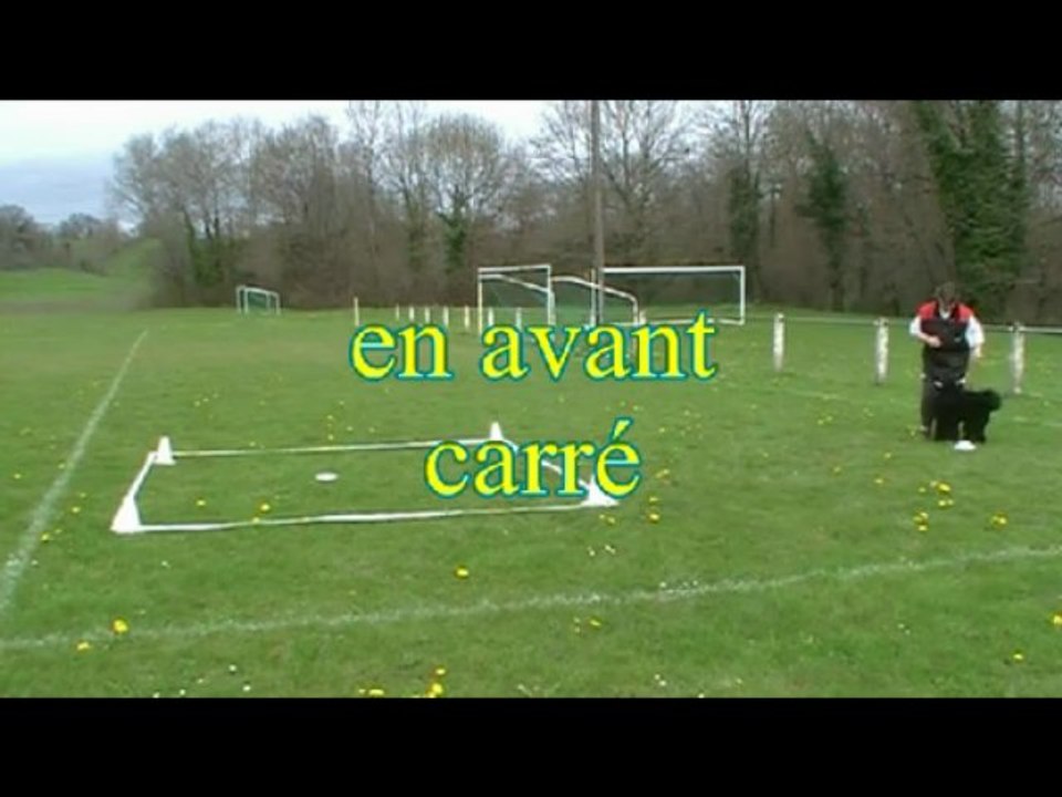 Verdy, préparation brevet d'obeissance