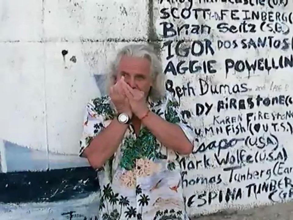 HARMONICA  GRAFFITI ART -  HIP-HOP CLEMATRIX ' J'IRAI JOUER CHEZ VOUS ' MUSIQUE D'UN MONDE