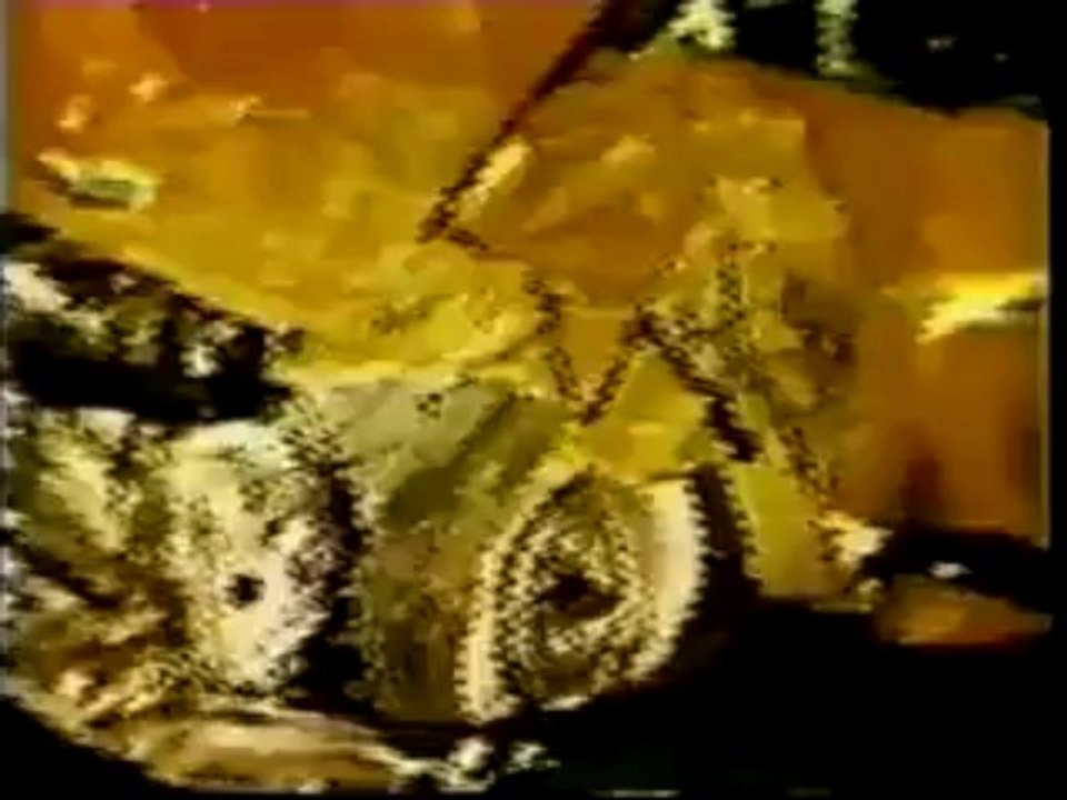 Warm Leatherette (Scratch Video)